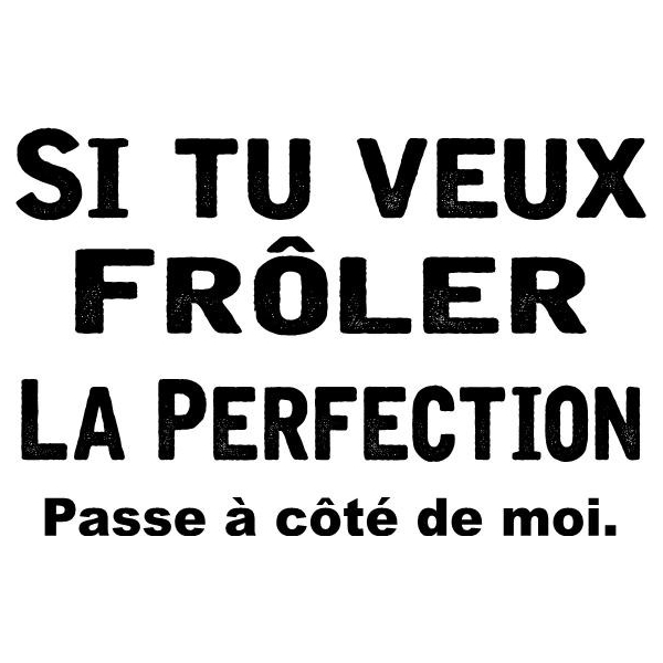 Tee Shirt Frôler la Perfection