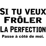 Tee Shirt Frôler la Perfection