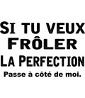 Tee Shirt Frôler la Perfection