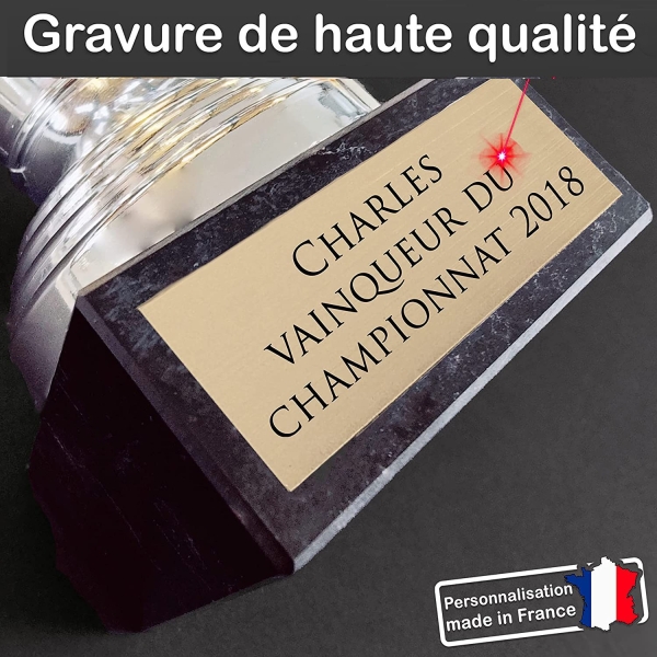 Trophée argenté personnalisable - 7 modèles
