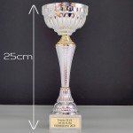 Trophée or et argent personnalisable - Modèle Pêche