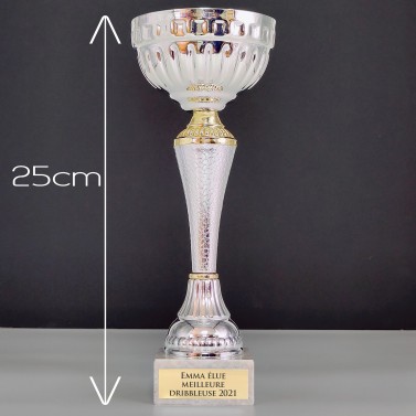 Trophée Coupe Métal Or et Argent Coupe Trophée Trophée Prix Gravure  Personnalisée Insert Personnalisé -  France