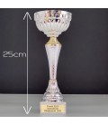 Trophée or et argent personnalisable - Modèle Pêche