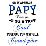 T-Shirt homme "Papy cool"