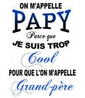 T-Shirt homme "Papy cool"