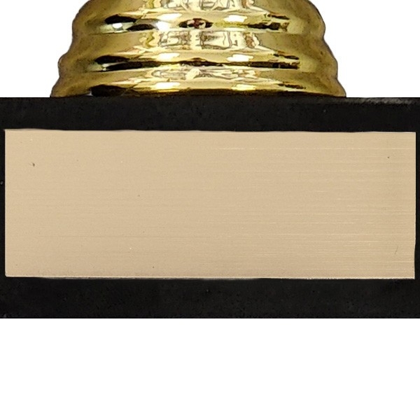 KDO MAGIC - Trophée Personnalisable avec Gravure - Coupe argentée et dorée  personnalisée - Cadeau fête des pères, noël, Retraite, Homme : :  Sports et Loisirs