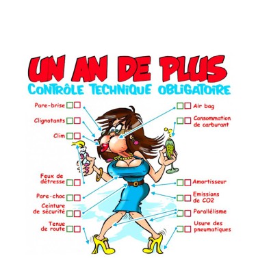 Coussin Anniversaire un an de plus femme