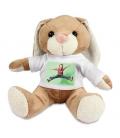Peluche Lapin personnalisée