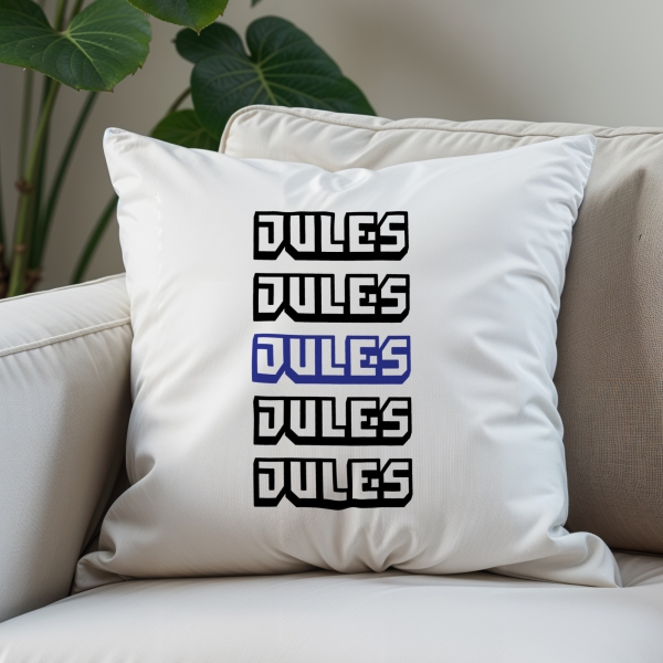 Coussin prénoms personnalisé