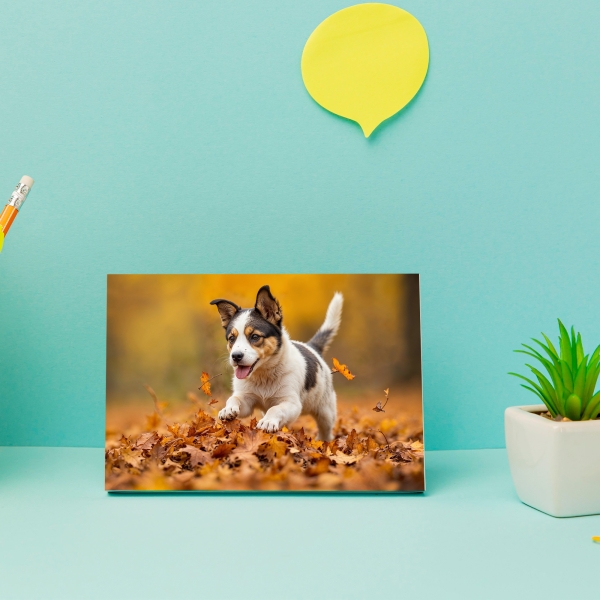 Cadre photo personnalisé horizontal 127 x 178mm