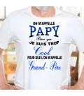 T-Shirt homme "Papy cool"