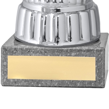 Coupe or et argent personnalisée  - 11 modèles