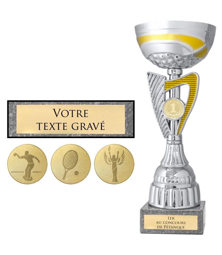 Trophée Coupe De Présentation Argent/or - Gravure Gratuite Incluse