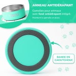 Gamelle personnalisée - Modèle gravée -  Turquoise - KDO MAGIC - animaux de compagnie
