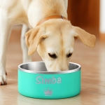 Gamelle personnalisée - Modèle gravée -  Turquoise - KDO MAGIC - animaux de compagnie