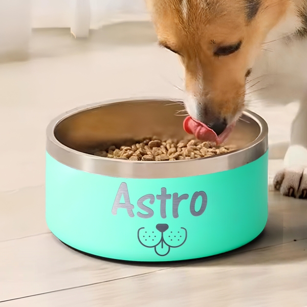 Gamelle personnalisée - Modèle gravée -  Turquoise - KDO MAGIC - animaux de compagnie