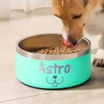 Gamelle personnalisée - Modèle gravée -  Turquoise - KDO MAGIC - animaux de compagnie