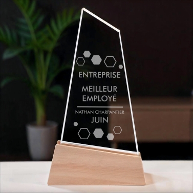 Trophée en verre personnalisable - Modèle triangle base bambou - Entreprise
