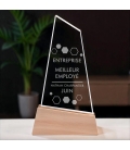 Trophée en verre personnalisable - Modèle triangle base bambou - Entreprise