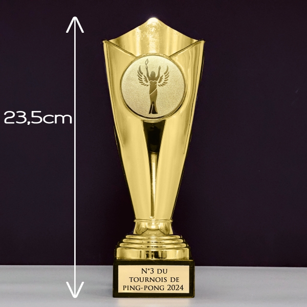 Trophée doré personnalisable - 10 modèles