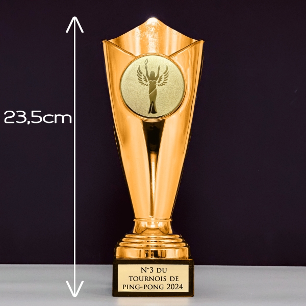 Trophée effet bronze personnalisable - 10 modèles