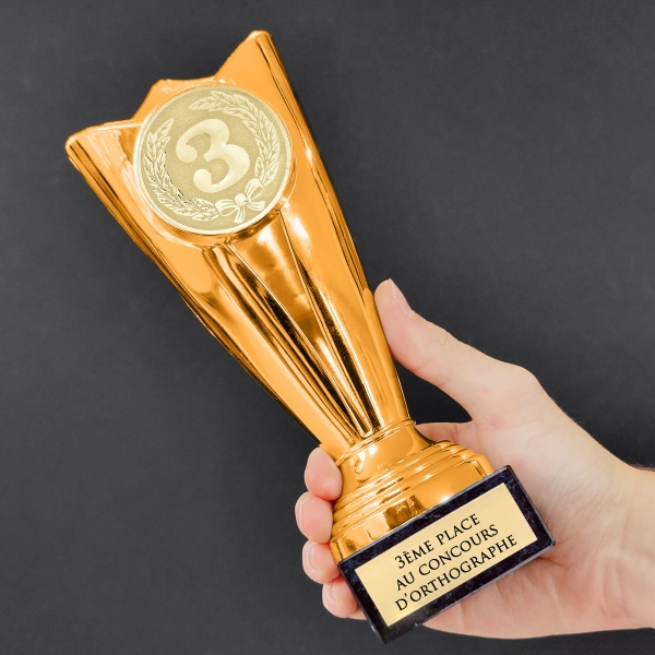 Trophée effet bronze personnalisable - 10 modèles
