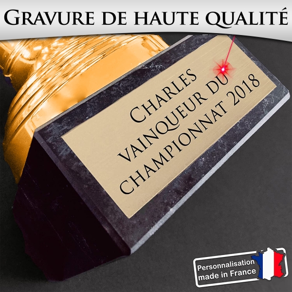 Trophée effet bronze personnalisable - 10 modèles