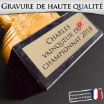 Trophée effet bronze personnalisable - 10 modèles