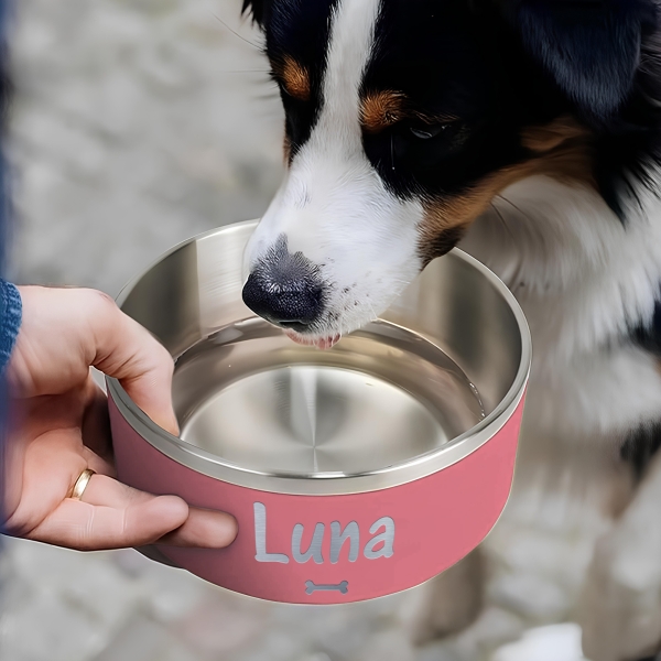 Gamelle personnalisée - Modèle gravée -  Rose - KDO MAGIC - animaux de compagnie