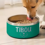 Gamelle personnalisée - Modèle gravée - Vert - KDO MAGIC - animaux de compagnie