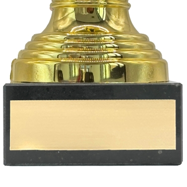Trophée doré personnalisable - 10 modèles