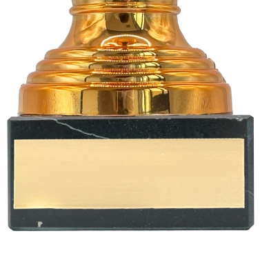 Trophée effet bronze personnalisable - 10 modèles