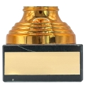 Trophée effet bronze personnalisable - 10 modèles