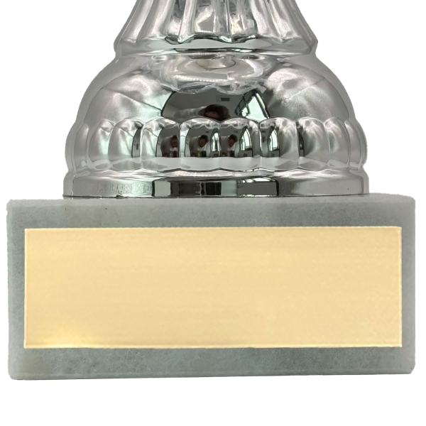 Trophée or et argent personnalisable - Modèle Pêche