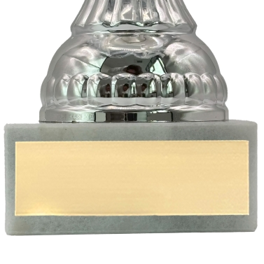 Trophée or et argent personnalisable - Modèle Pêche