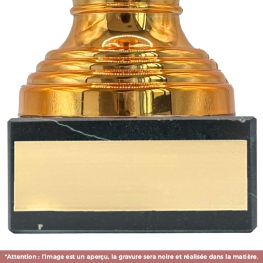 Trophée effet bronze personnalisable avec votre logo - 11 modèles
