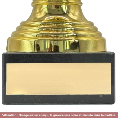 Trophée doré personnalisable avec votre logo - 11 modèles