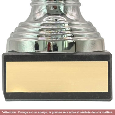 Trophée argenté personnalisable avec votre logo - 11 modèles