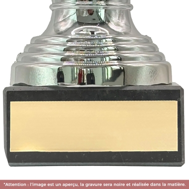 Trophée argenté personnalisable avec votre logo - 16 modèles