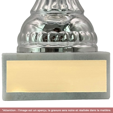 Coupe argentée et dorée personnalisable avec votre logo