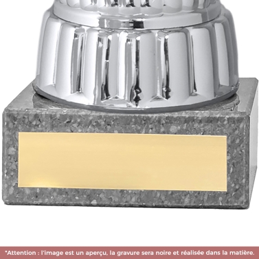 Coupe or et argent personnalisée avec votre logo - 16 modèles