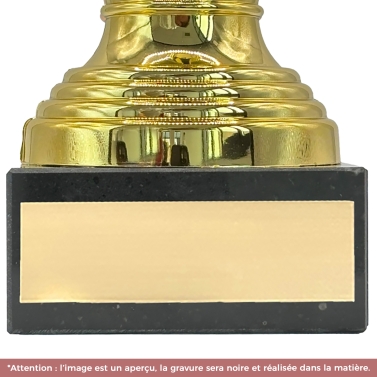 Trophée doré personnalisable avec votre logo - 16 modèles