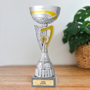 Coupe or et argent personnalisée avec votre logo - 16 modèles