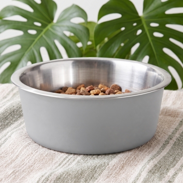 Gamelle pour chien gravée grise