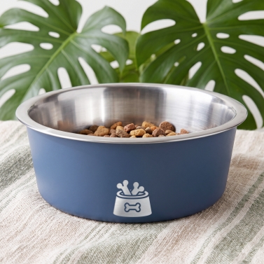 Gamelle pour chien personnalisable bleue