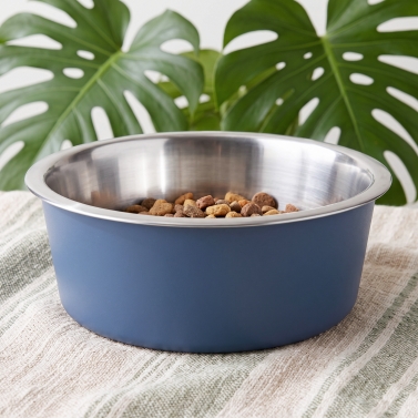 Gamelle pour chien personnalisable bleue