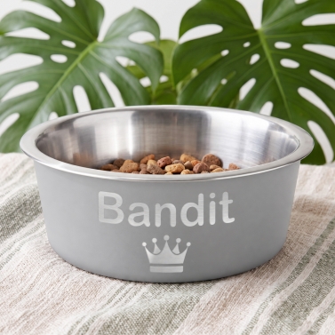 Gamelle pour chien gravée grise