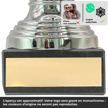 Trophée argenté personnalisable avec votre logo - 16 modèles