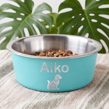 Gamelle pour chien à personnaliser turquoise