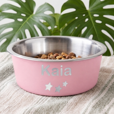 Gamelle pour chien personnalisée rose